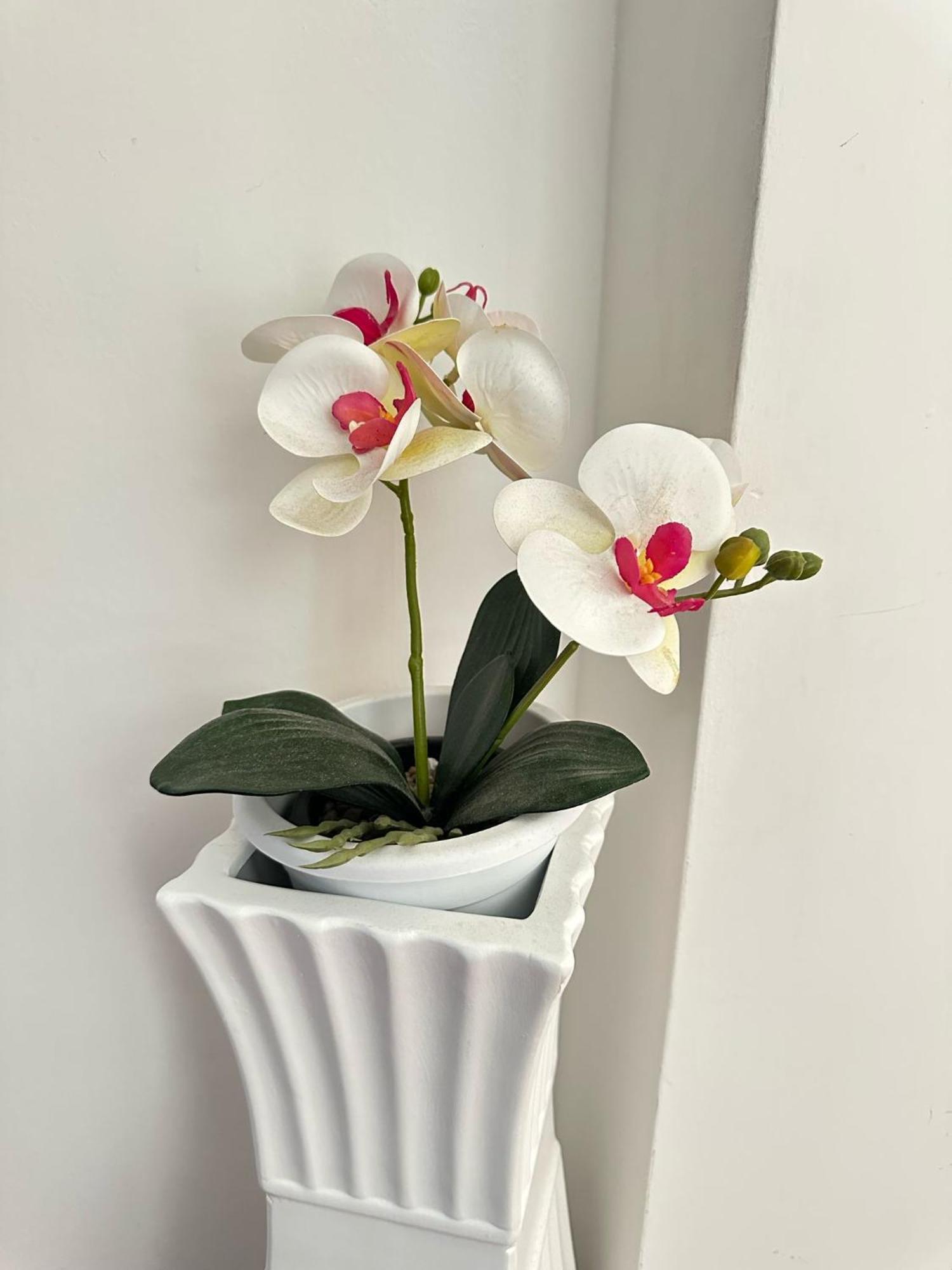 Trastevere Rome'S Heart Charming & Cozy Appartment 3 Ngoại thất bức ảnh
