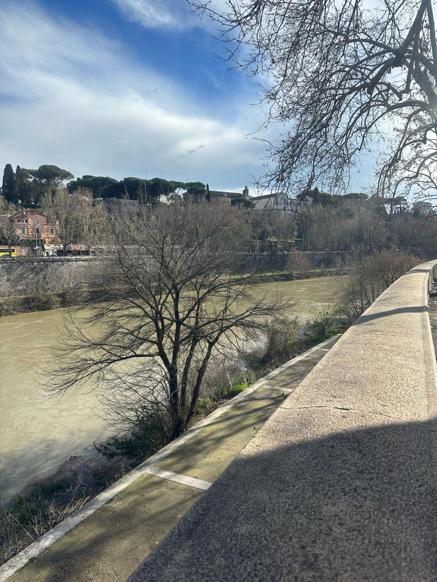 Trastevere Rome'S Heart Charming & Cozy Appartment 3 Ngoại thất bức ảnh